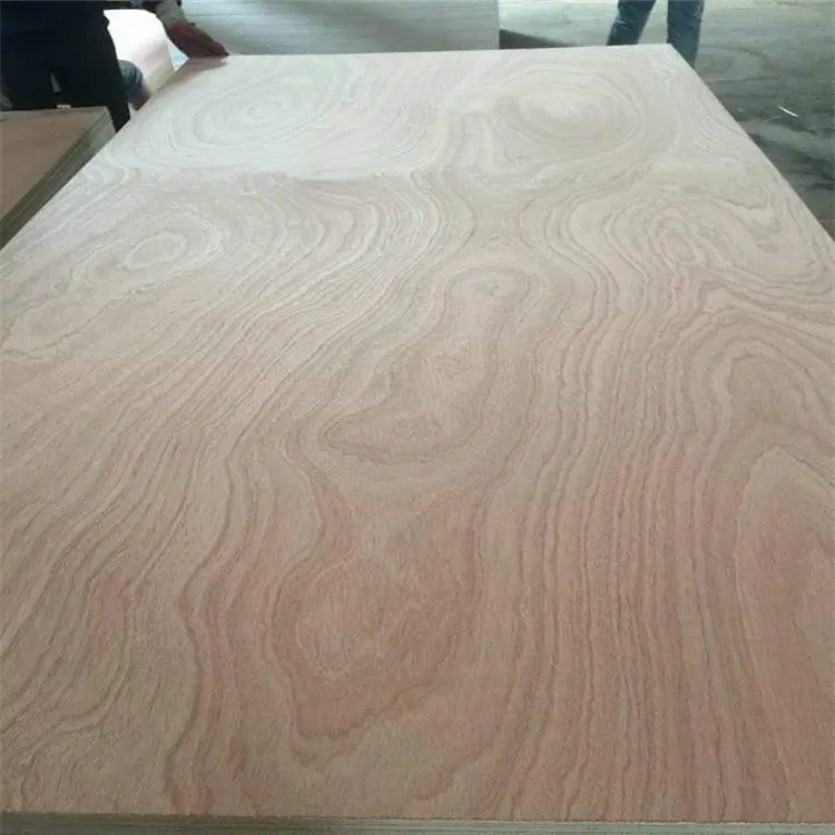 sapale plywood162uu