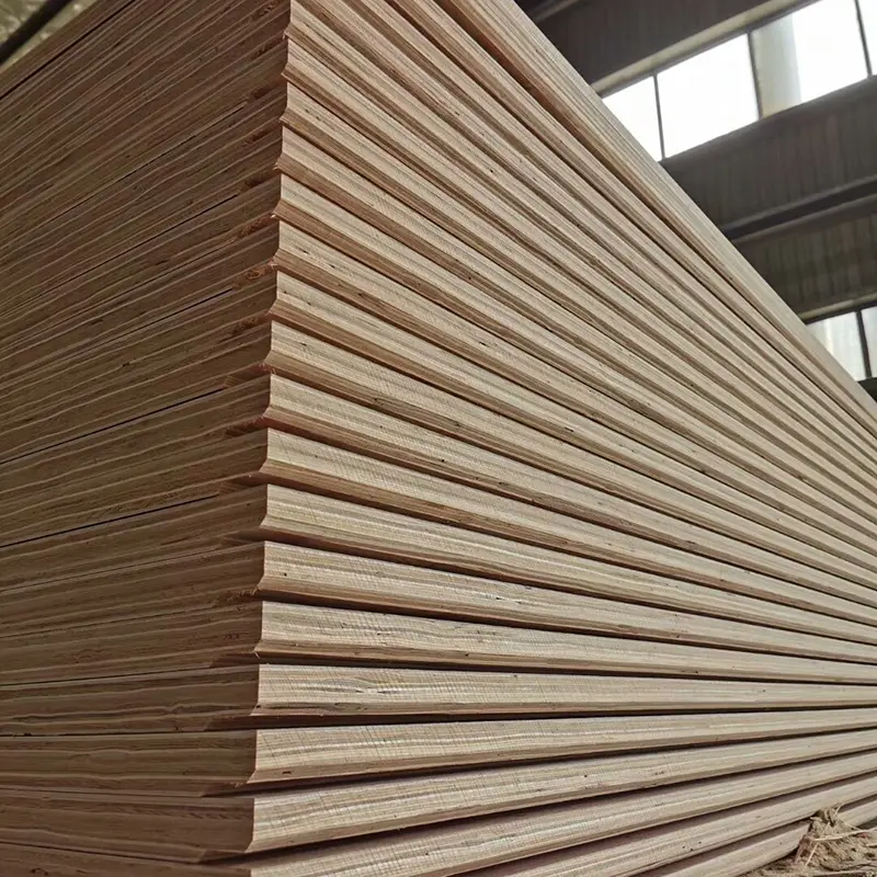 container floor plywood (14)khx