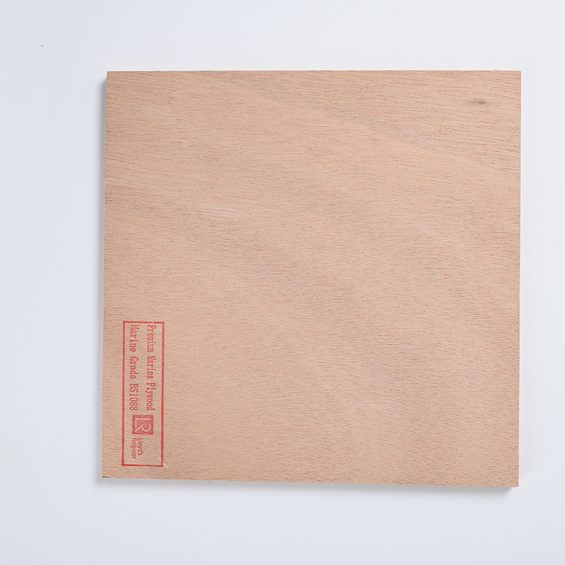 4-40mm Premium Quality BS1088 Marine Plywood for Boating Industry