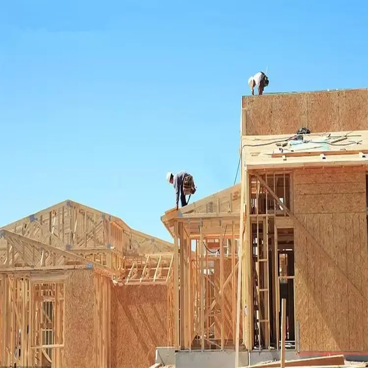 T&G OSB board for construction (31)rl1