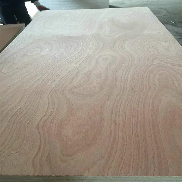 9mm 12mm 15mm 18mm Okume Bintangor Sapele Pine Birch Commercial Plywood