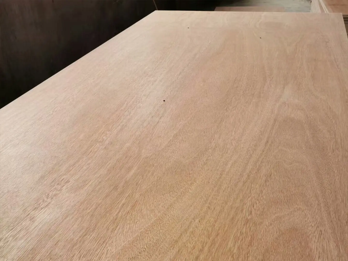 Container floor plywood (1)fmc