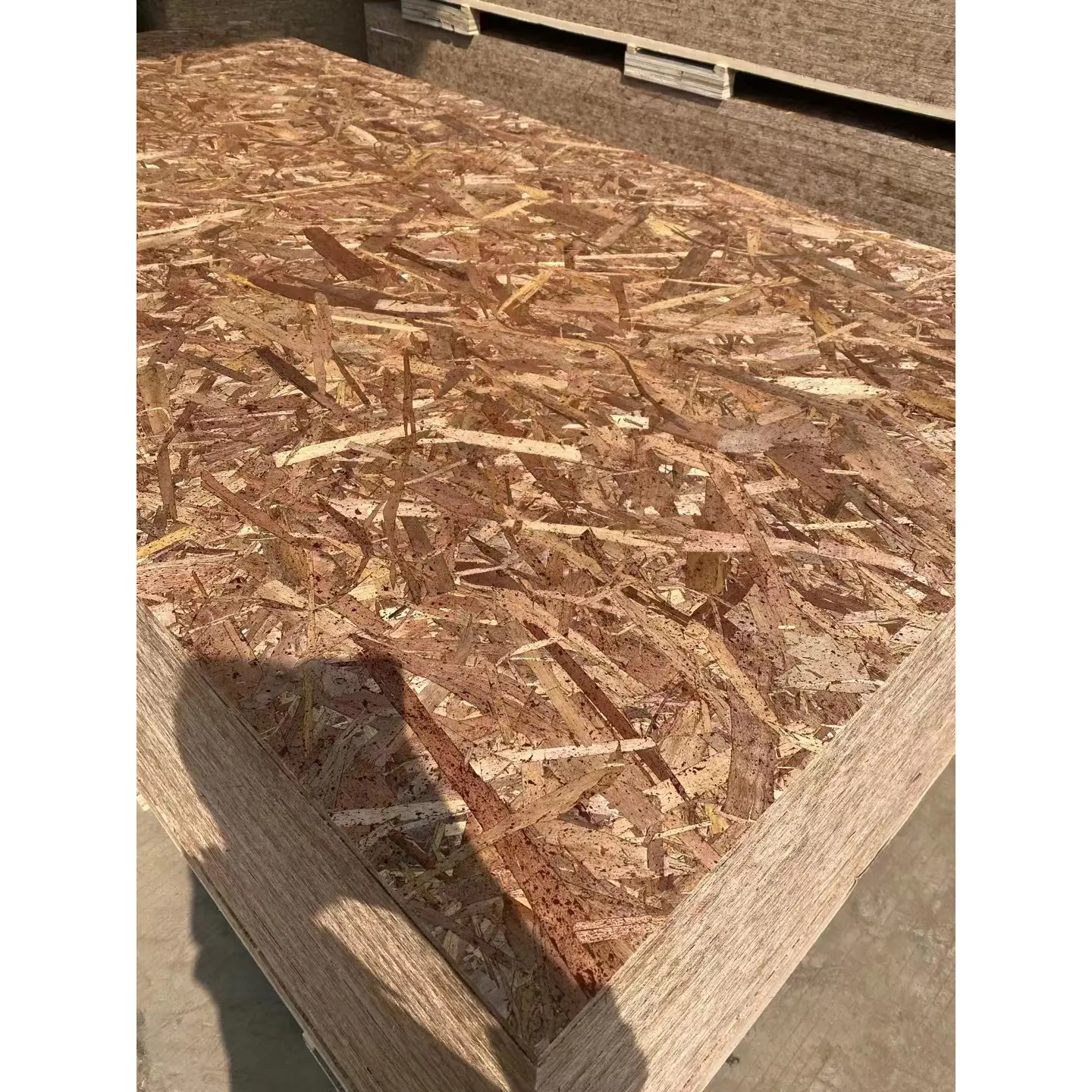 Phenolic hardwood Waterproof OSB board for construction