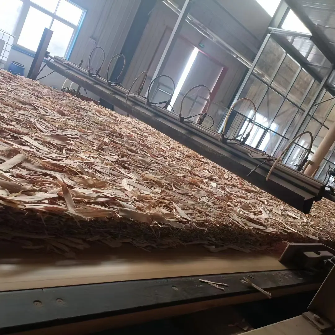 Raw Particle board Chipboard for furniture (3)d5d