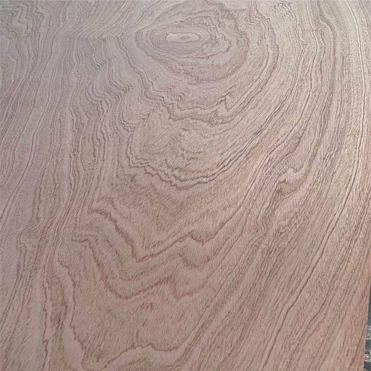 9mm 12mm 15mm 18mm Okume Bintangor Sapele Pine Birch Commercial Plywood