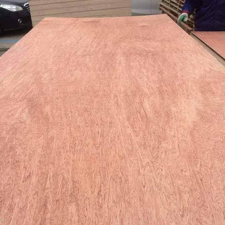 2.7mm 3mm 4mm thin okoume plywood /door size board with width 760mm 910mm