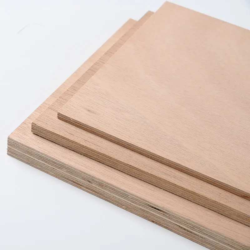 4-40mm Premium Quality BS1088 Marine Plywood for Boating Industry