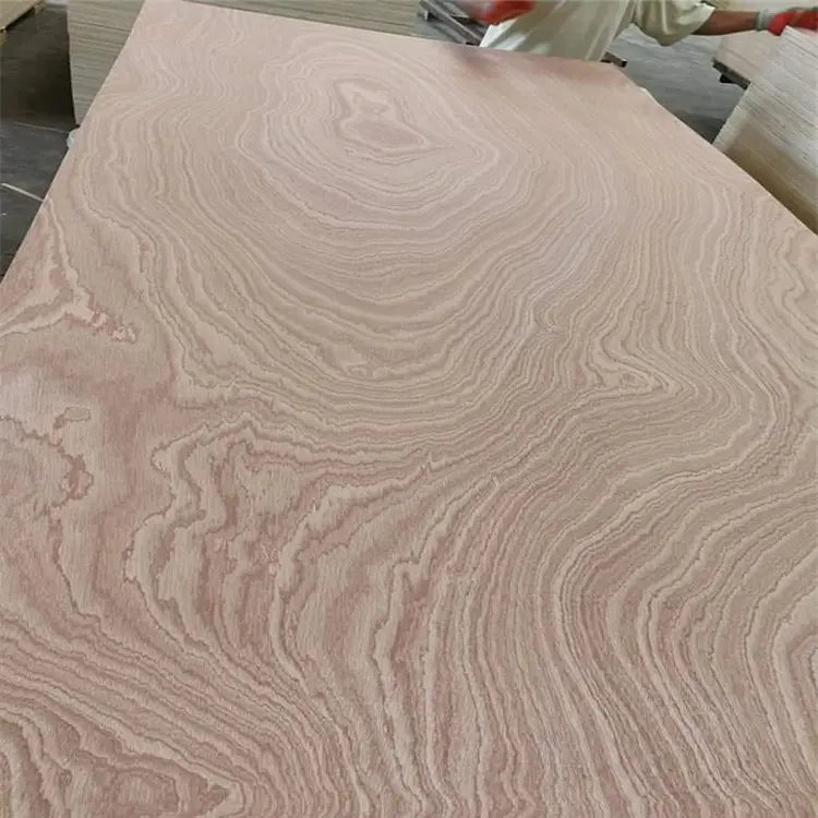 sapale plywood73sk1