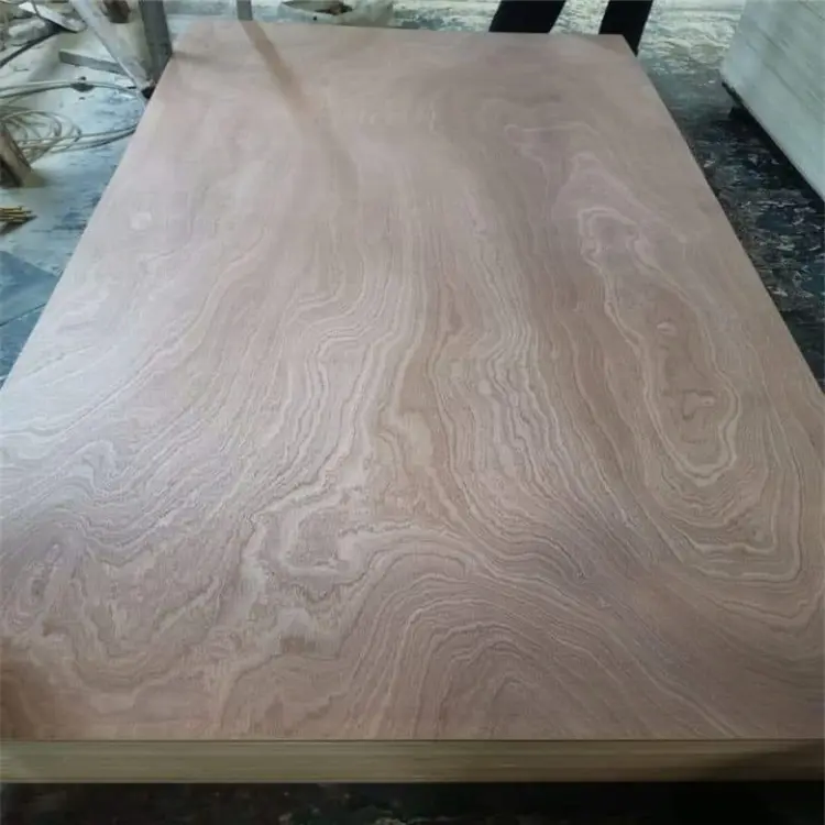 9mm 12mm 15mm 18mm Okume Bintangor Sapele Pine Birch Commercial Plywood