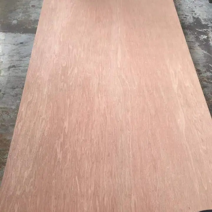2.7mm 3mm 4mm thin okoume plywood /door size board with width 760mm 910mm