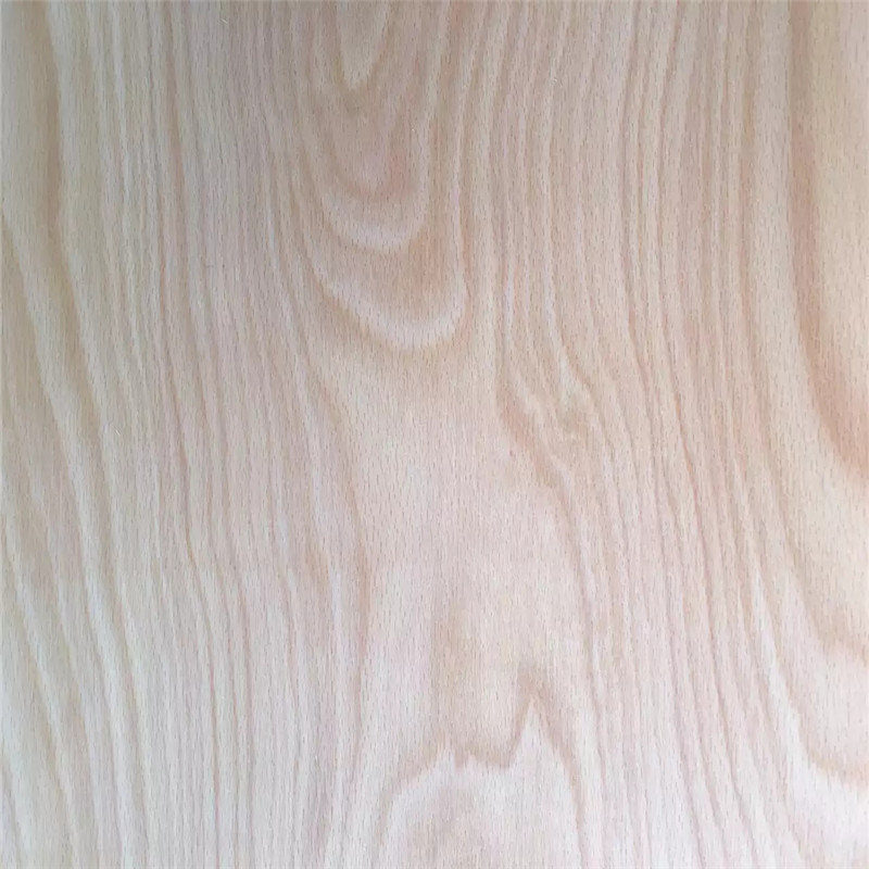 Steamed Beech veneer