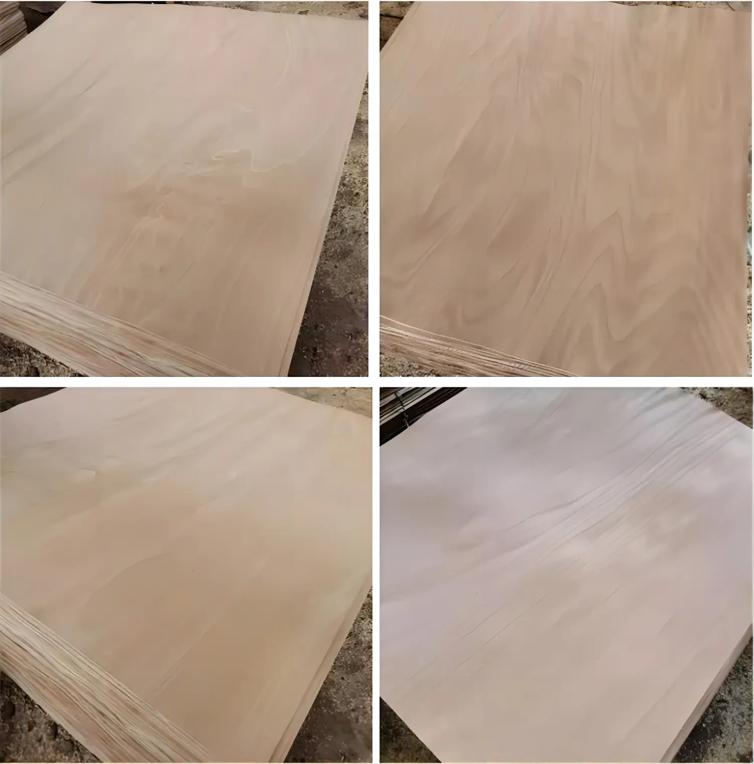 beech veneer (20)ta7