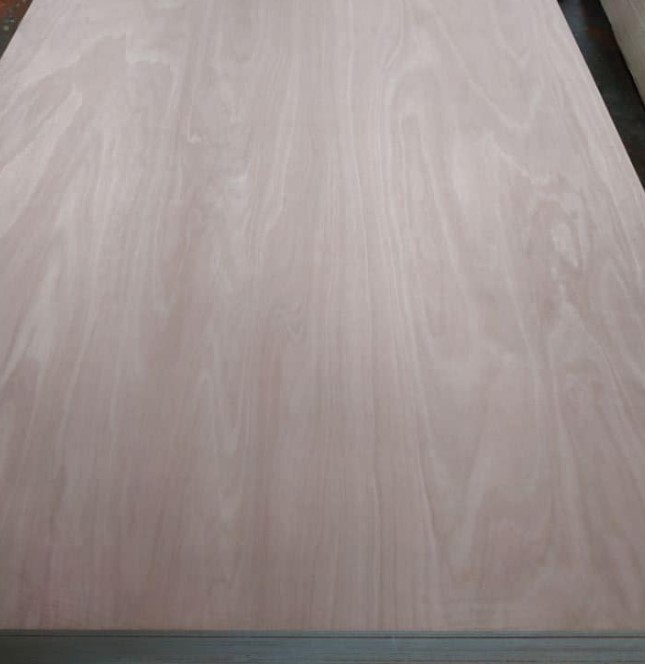 High quality BB/CC Okoume furniture plywood okoume board
