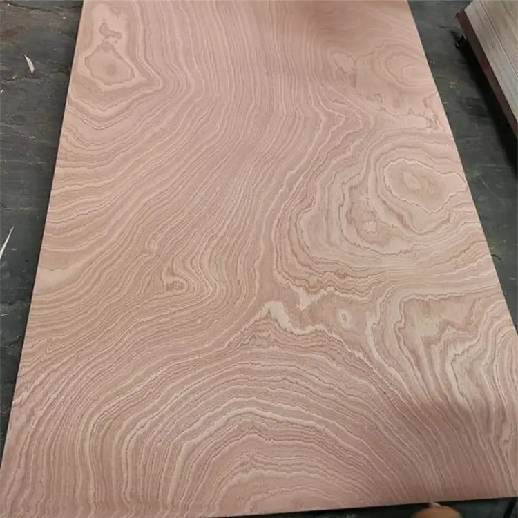 sapale plywood81ln3