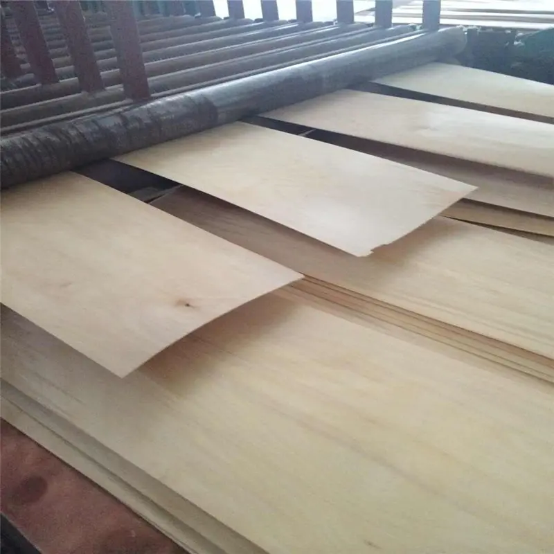Steamed Beech veneer