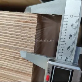 BB/BB grade full Birch Plywood