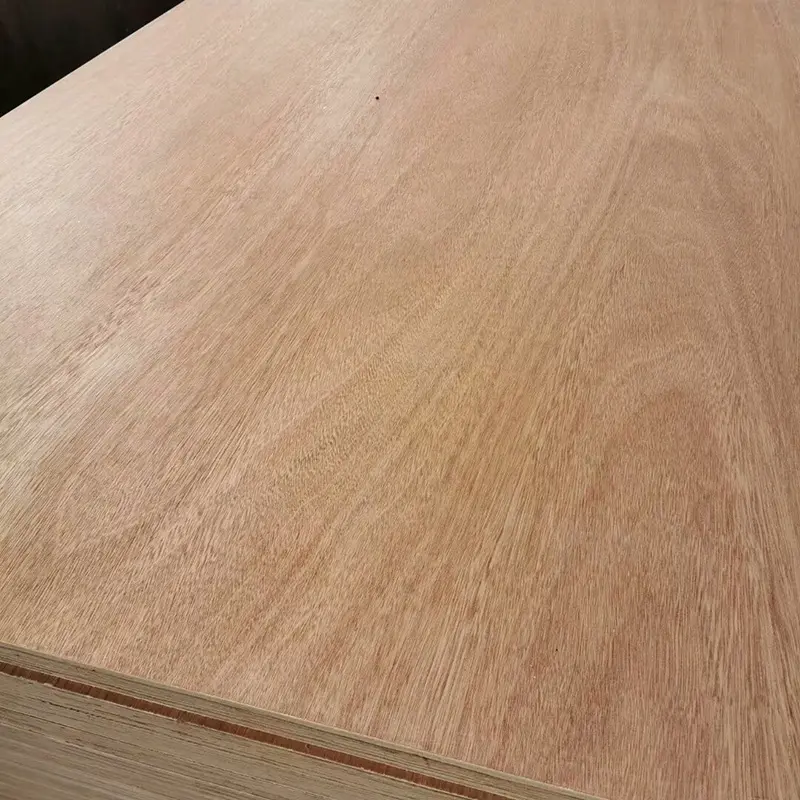 container floor plywood (15)yr3