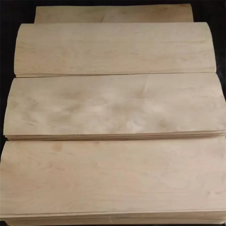 Steamed Beech veneer