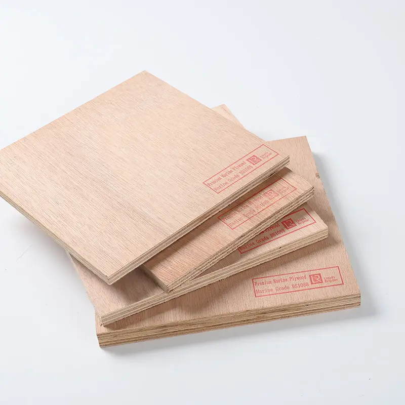 4-40mm Premium Quality BS1088 Marine Plywood for Boating Industry