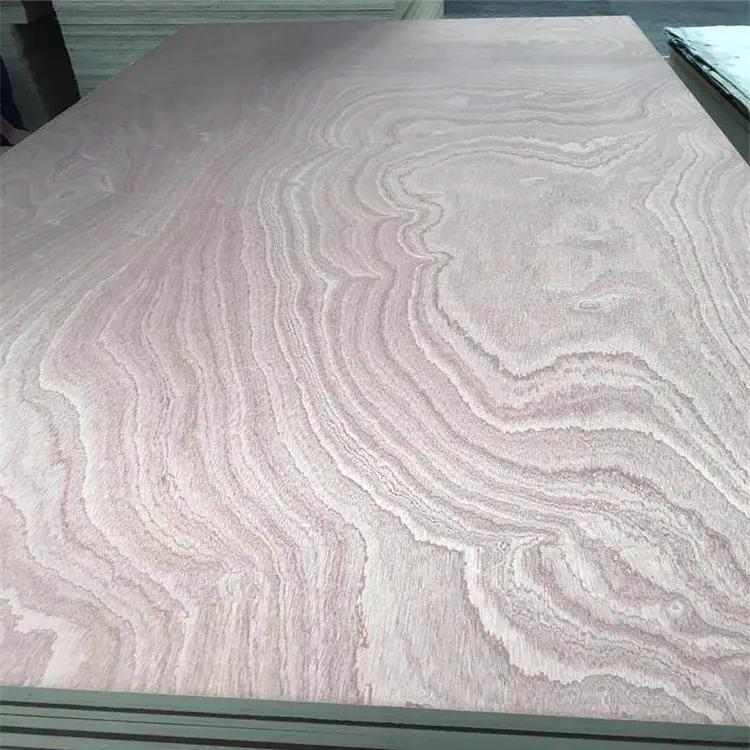 9mm 12mm 15mm 18mm Okume Bintangor Sapele Pine Birch Commercial Plywood