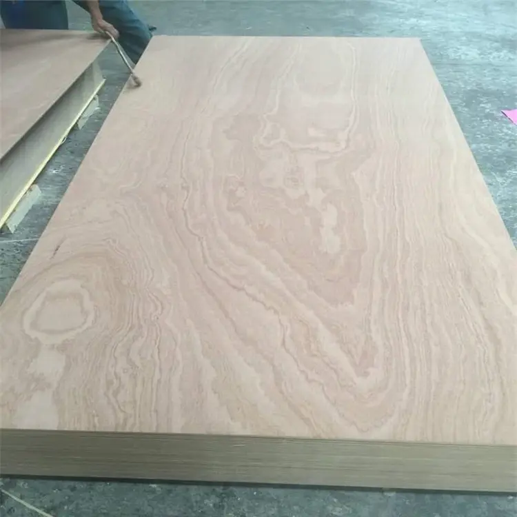 9mm 12mm 15mm 18mm Okume Bintangor Sapele Pine Birch Commercial Plywood